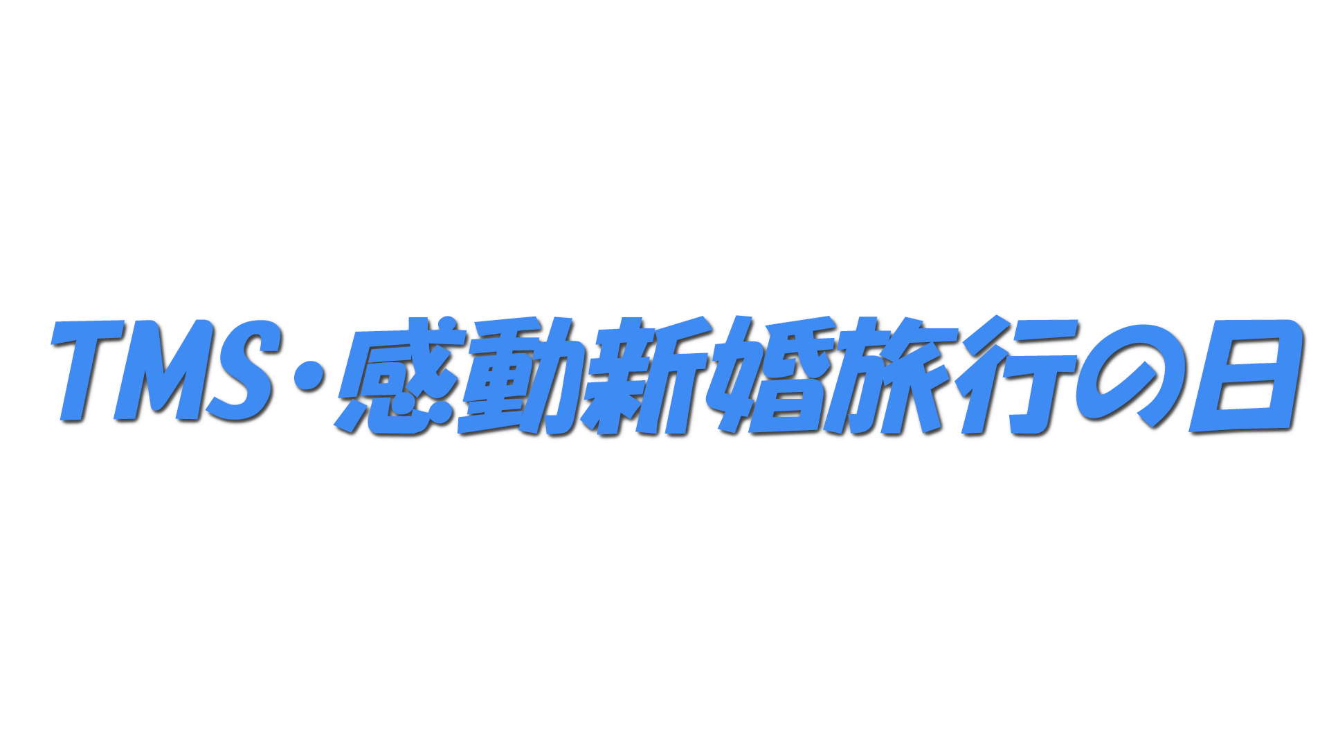 TMS・感動新婚旅行の日の文字