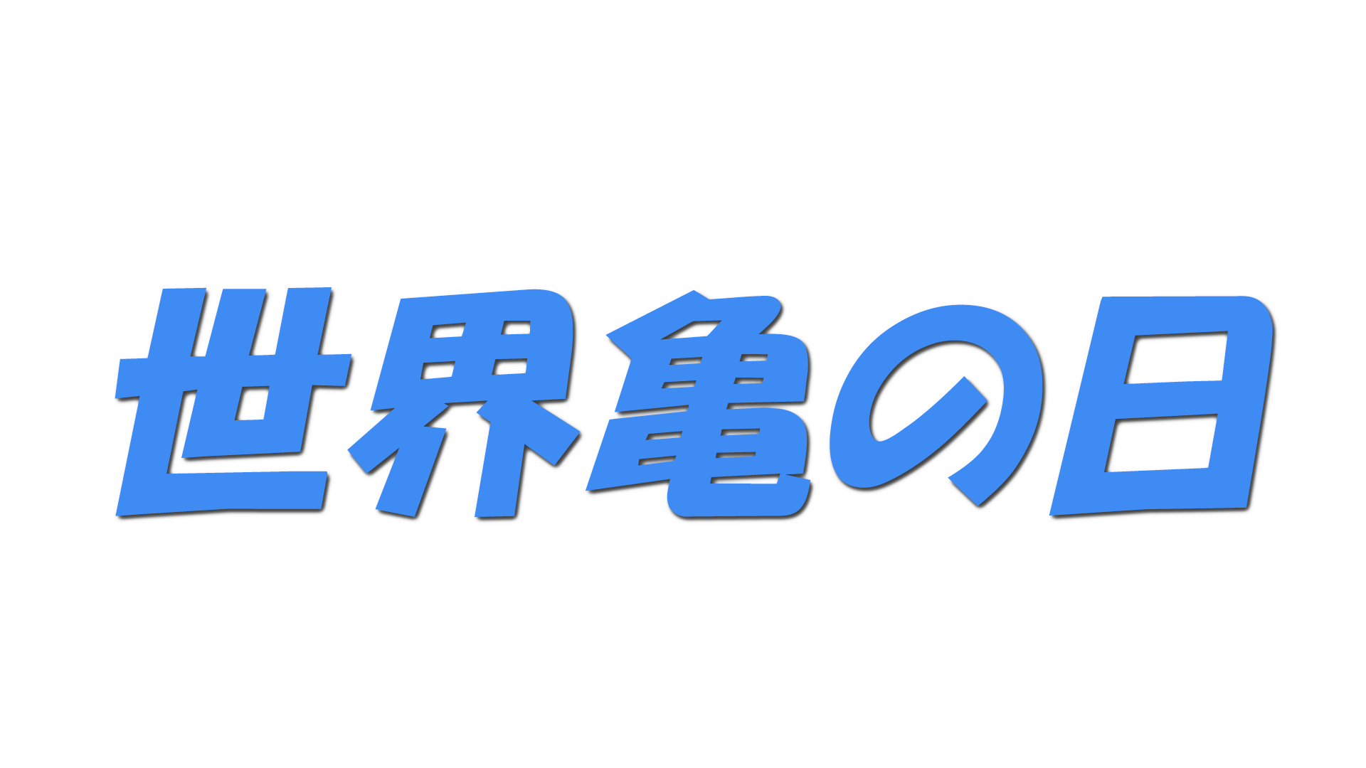 世界亀の日の文字