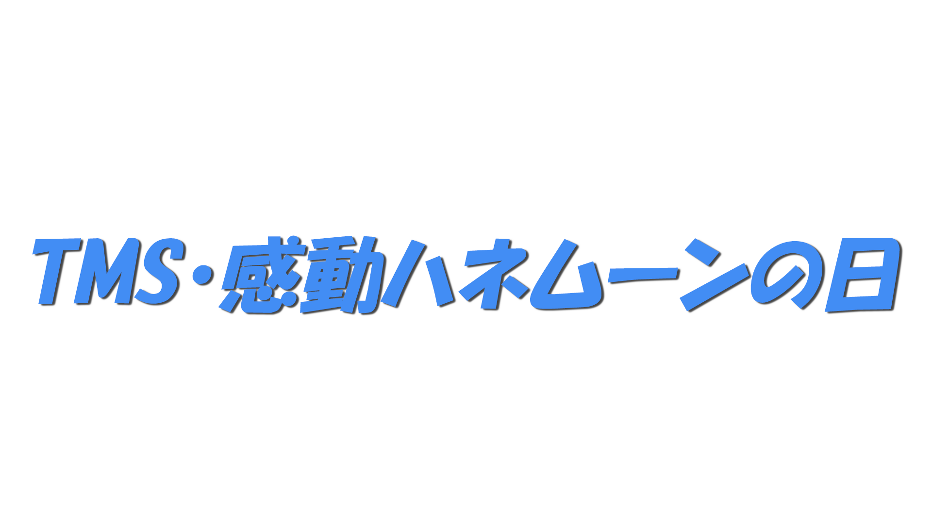 TMS・感動ハネムーンの日の文字